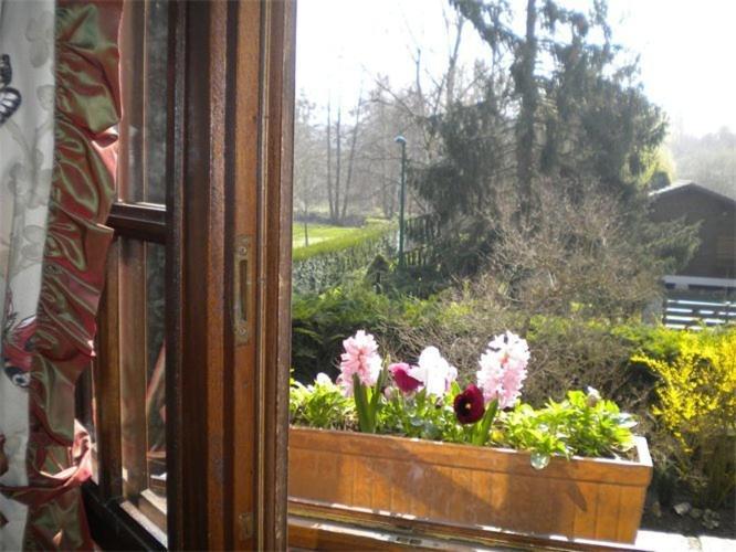 Aux Marguerites Villa Sainte-Genevieve-les-Gasny Rom bilde