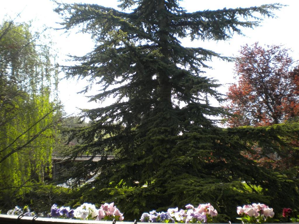 Aux Marguerites Villa Sainte-Genevieve-les-Gasny Rom bilde
